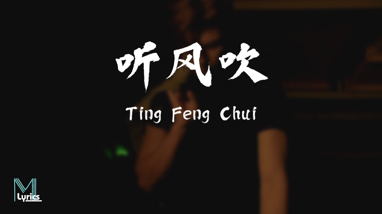 Zhuang Qi Wen (庄淇文29) - Ting Feng Chui (听风吹) Lyrics Pinyin/English Translation (Dynamic Lyrics)