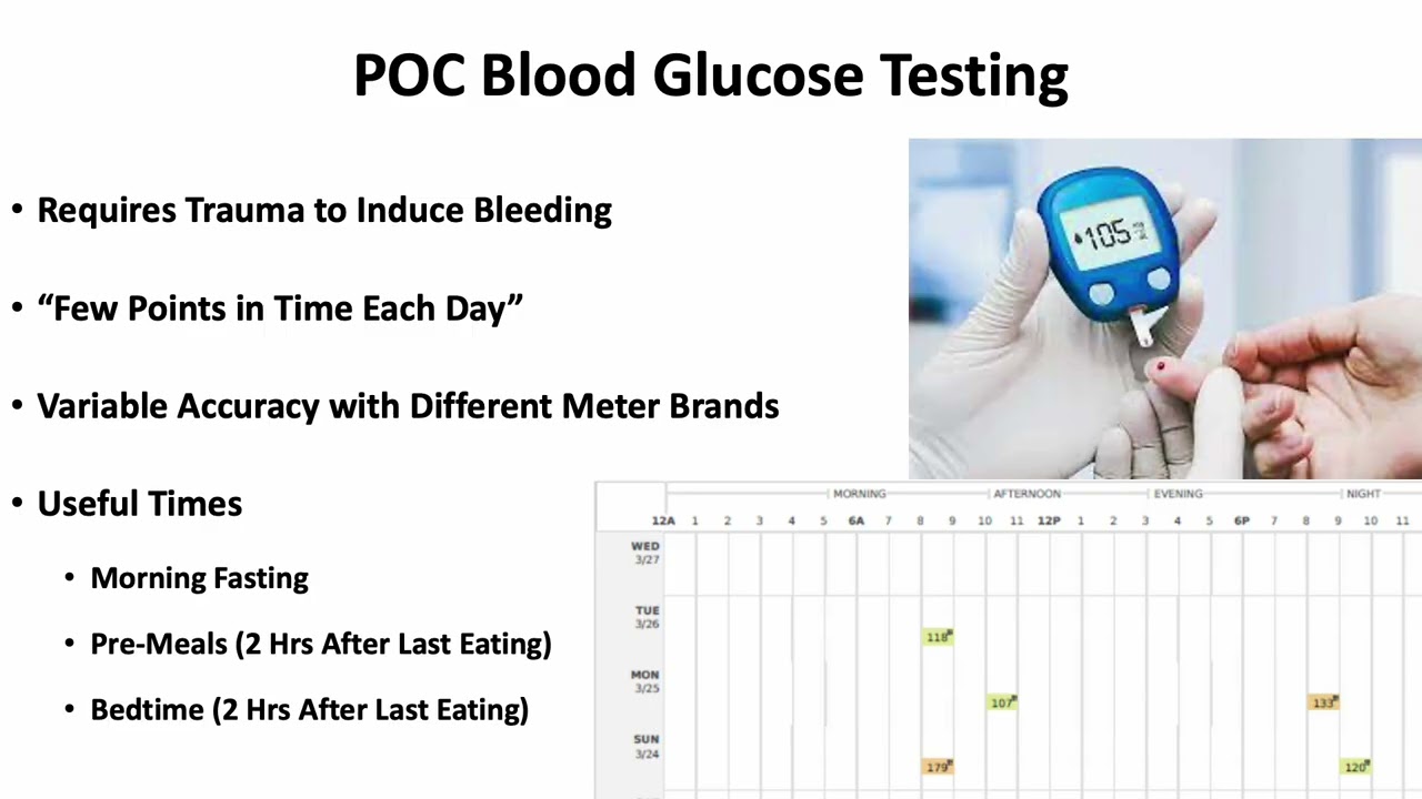 T1D Rotator Lecture