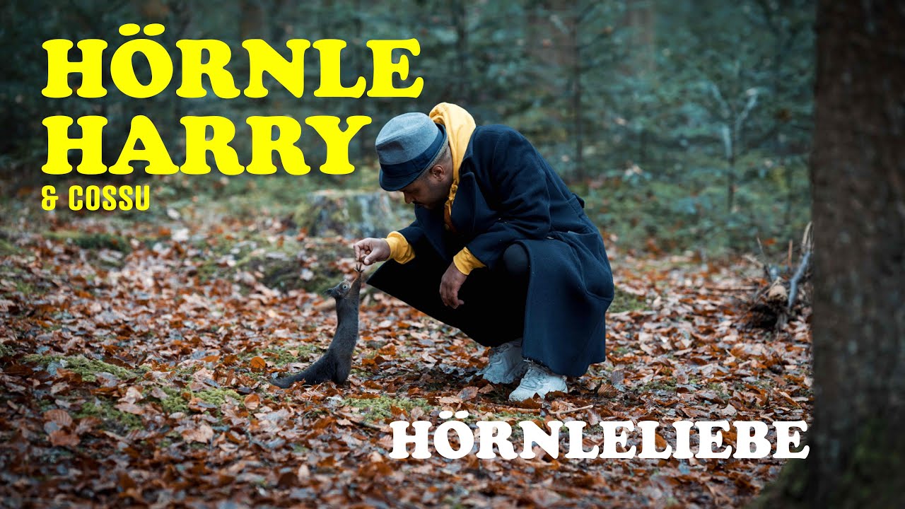 Cossu & H&ouml;rnle Harry - H&ouml;rnleliebe prod. by Felix Sittler