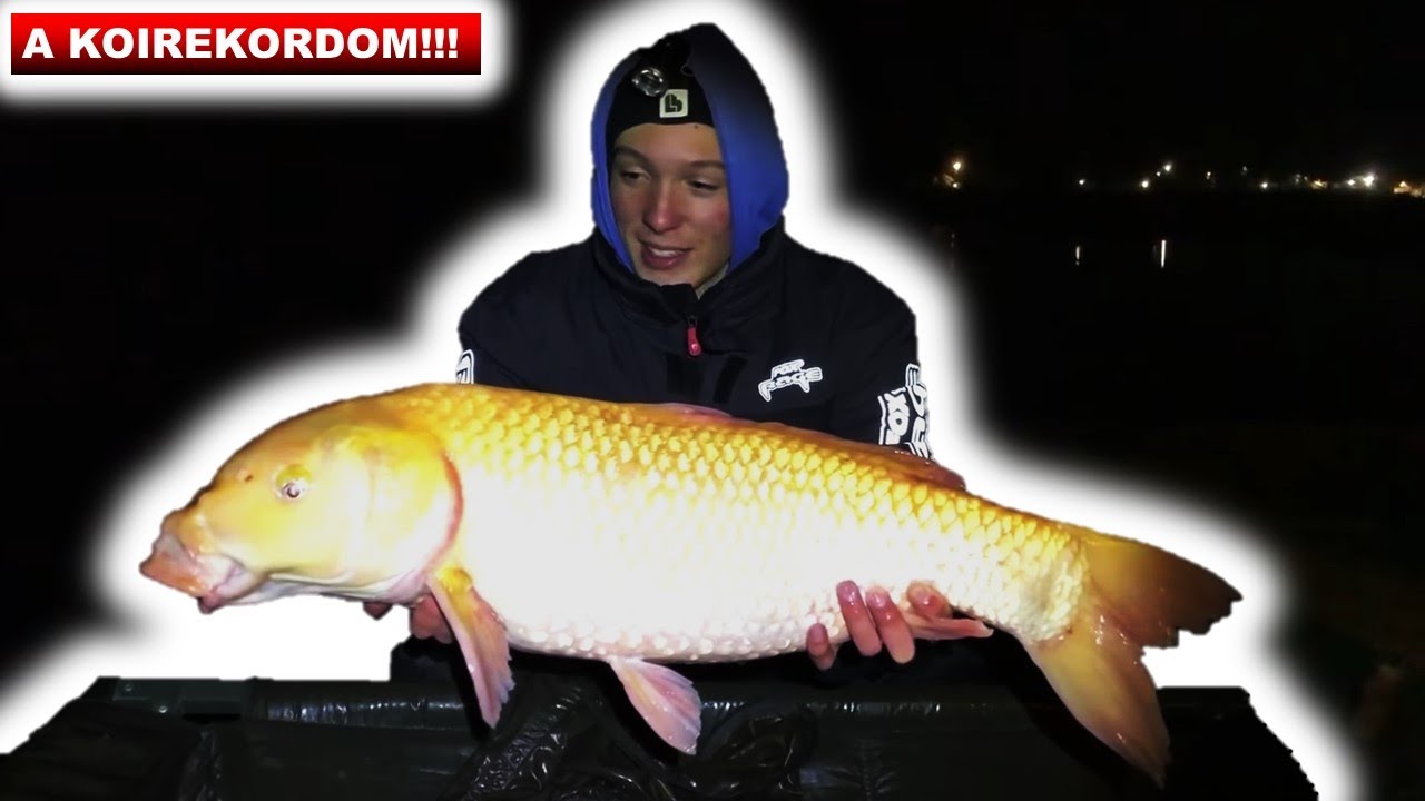 A koik éjszakája 🔥❄(The FishAIRMan 1. rész)