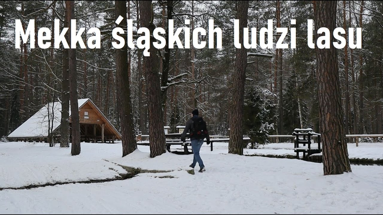 Brusiek-Krywałd: mekka śląskich buszkraftowców | Rzeka Mała Panew | Chipsy o smaku... bigosu