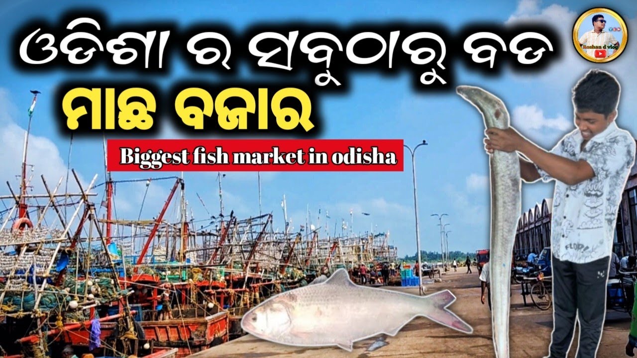 [Biggest fish market in odisha]ଓଡିଶା ର ସବୁଠାରୁ ବଡ ମାଛ ବଜାର.