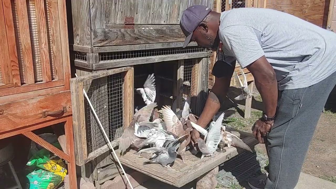 Неделя 2: Тренировка Кейта Лондона по бирмингемским роликам 2022 года.