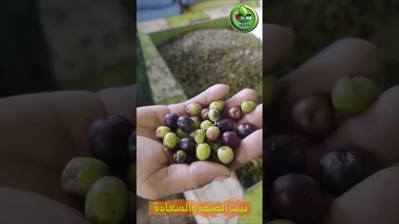 المعصرة الوحيدة في بني ملال لي كتبيع زيت الزيتون البلدي