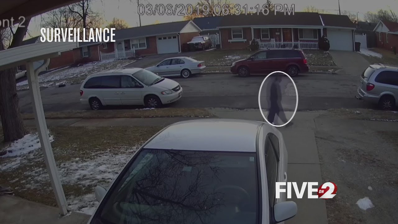 Man targets car windows with pellet gun