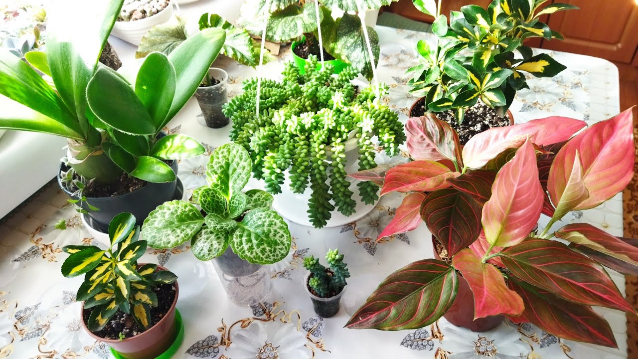 Цветочные новости ♥️ 23 ноября 2025