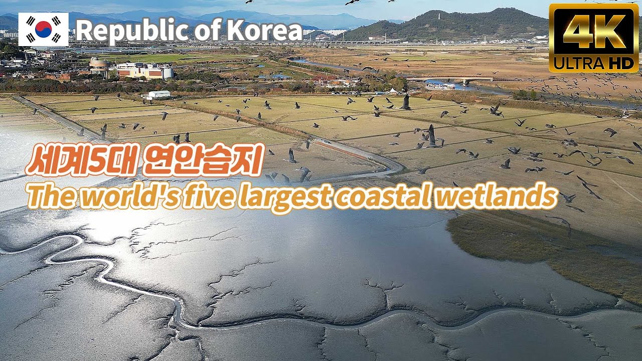 순천만습지 [순천] Suncheonman Bay Wetland Reserve [Suncheon, Republic of Korea]