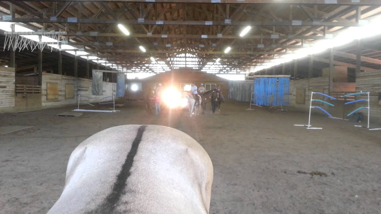 Lynda Allan and her awesome mare Whisper