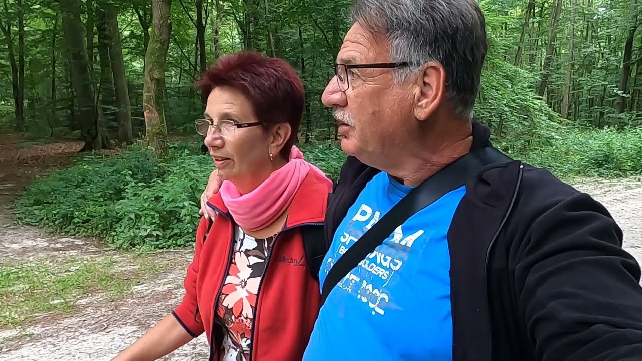 Löwentour  Ein Spaziergang in Ihlowerfehn