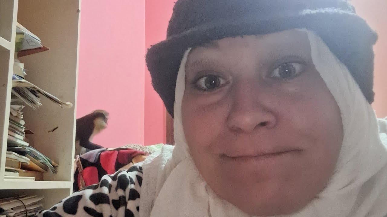 Challo Challo ÄgyptenVlogFamilie überträgt einen Livestream.