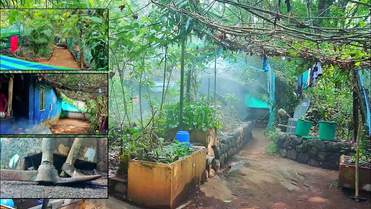 0413 🏡 ജീവിതം ഇന്നുമുതൽ ഈ ജീവിത സാഹചര്യത്തിൽ...