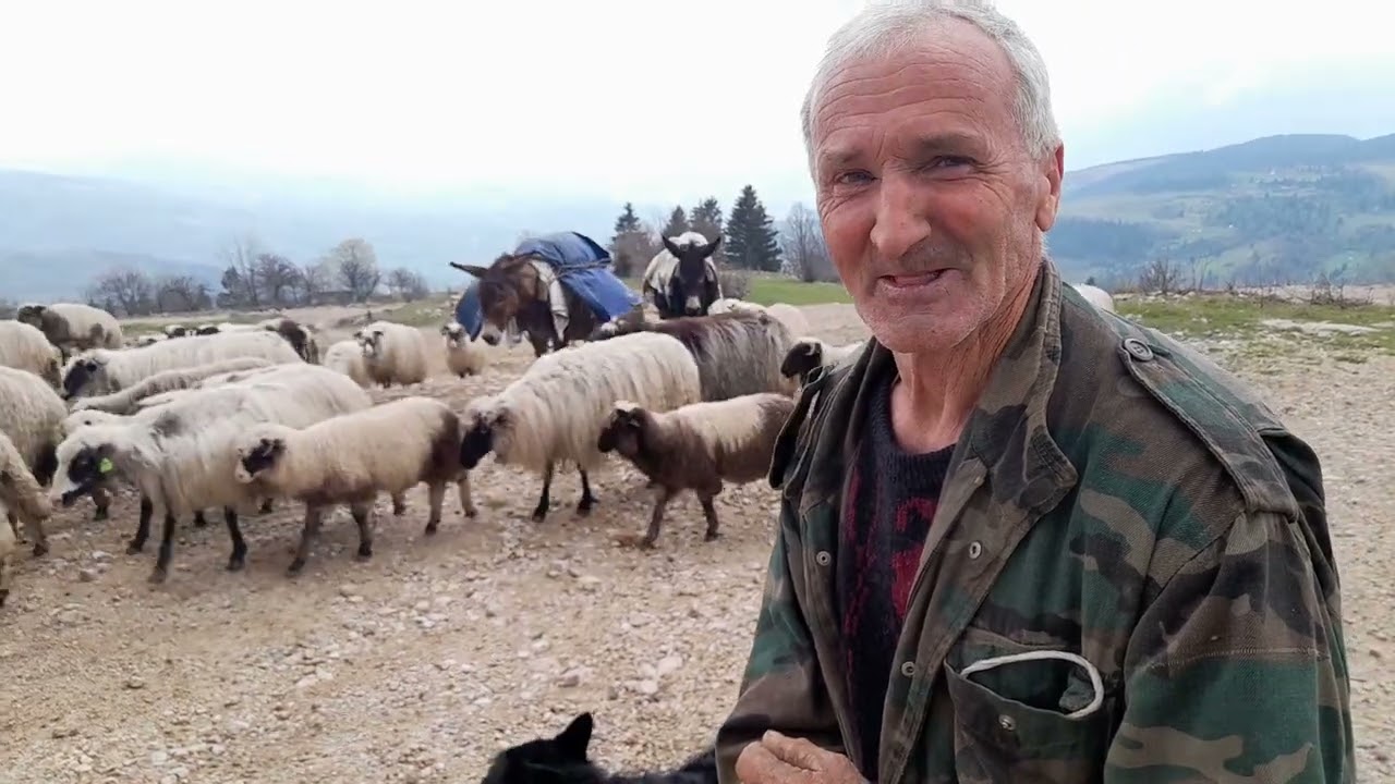 Putovanje na Vlasic Planina