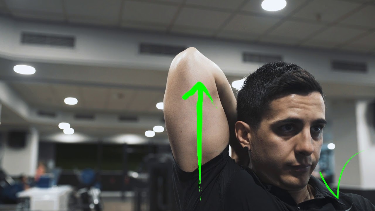 TRÍCEPS con MANCUERNA por encima de la cabeza | GFit Coach