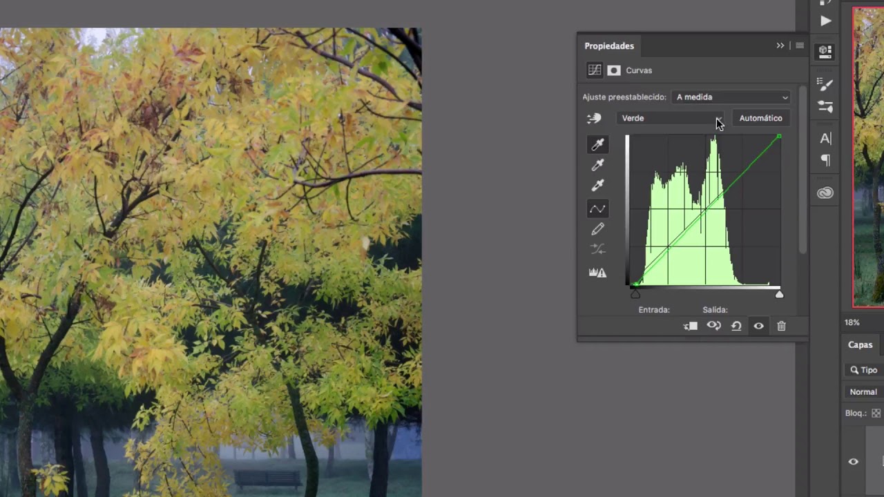 Corrección de color con ajuste de curvas en Photoshop