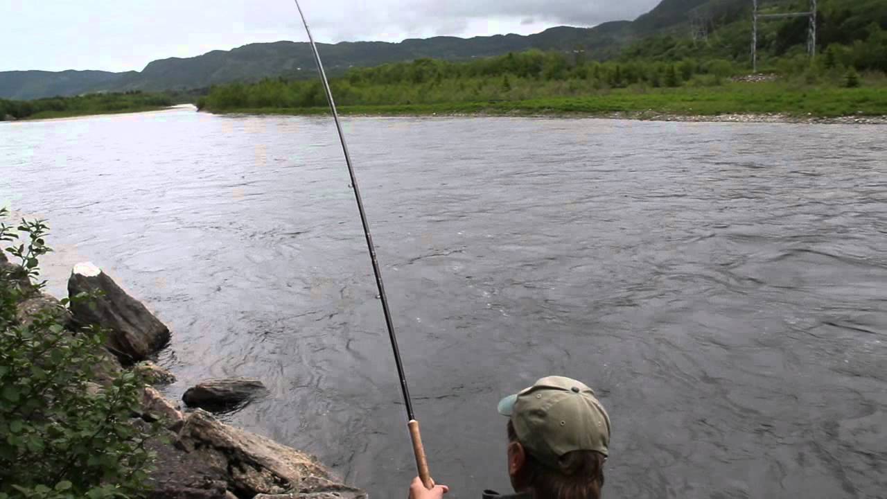 47 lb Salmon.wmv