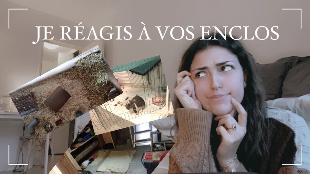 JE REAGIS A VOS ENCLOS! || LES ENCLOS DE VOS LAPINS