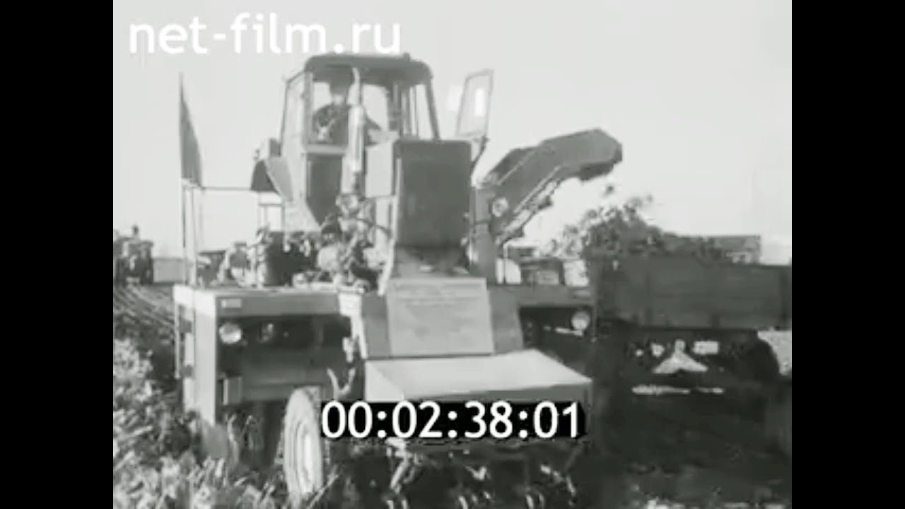 1978г. колхоз. Ямпольский район Винницкая обл
