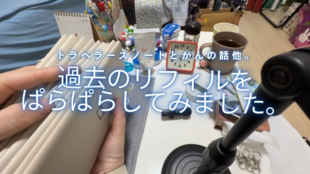 【手帳】押入れにしまう前にぱらぱらしました(処分予定無し)となぜかがんとインクの話してます【長尺すぎて申し訳ありません】