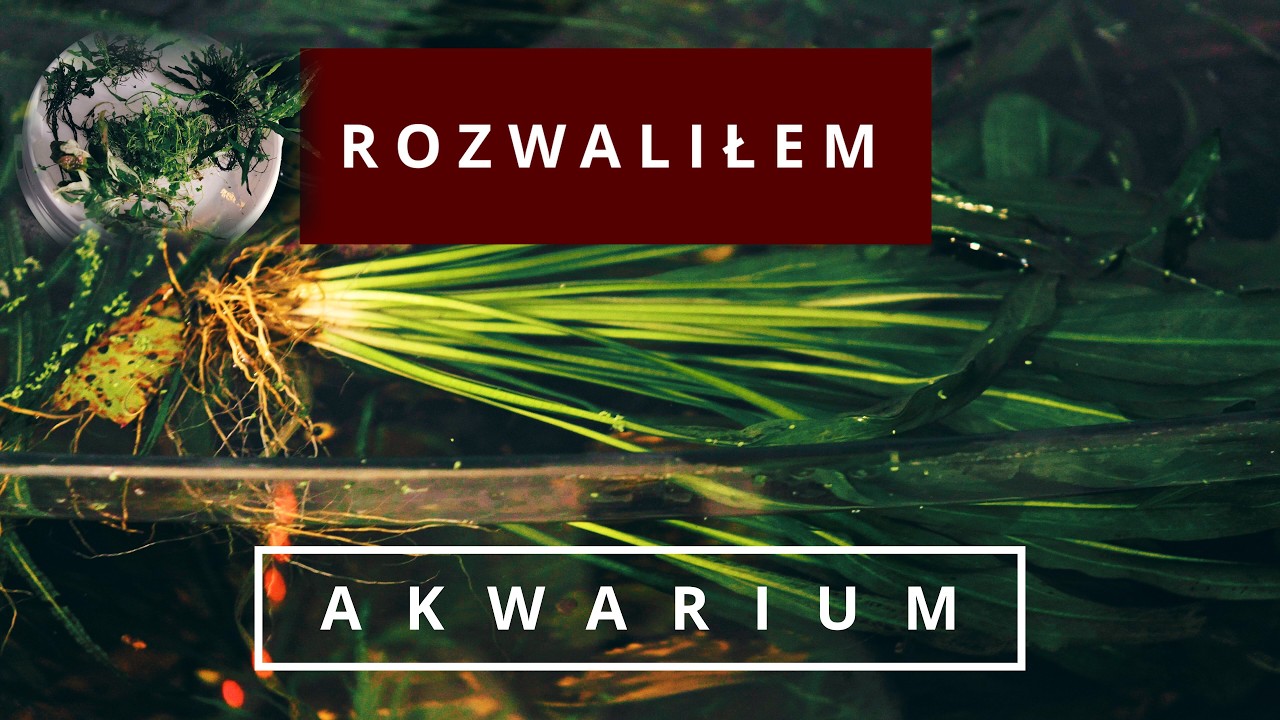 Rozwaliłem akwarium naturalne 180L