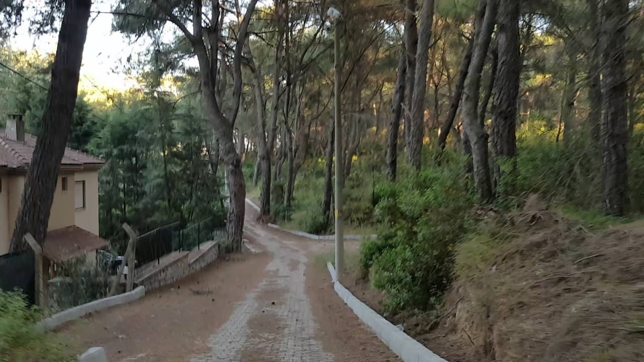 İHSANİYE DE SATILIK TARLA  8863 M2(KÖYE MESAFE)
