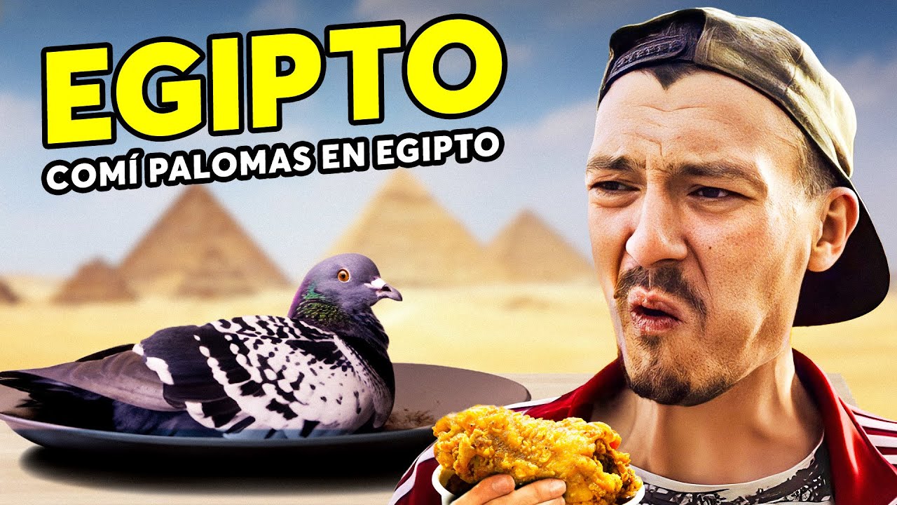 ¡No me lo esperaba! Pobres palomas. Las pirámides no son lo único que puede sorprenderte de Egipto.
