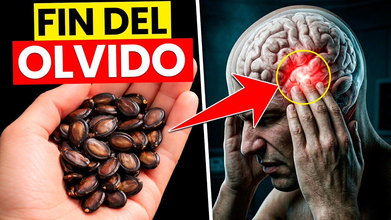 ¡La SEMILLA Nº1 que REACTIVA la MEMORIA y ACABA con el OLVIDO después de los 60!