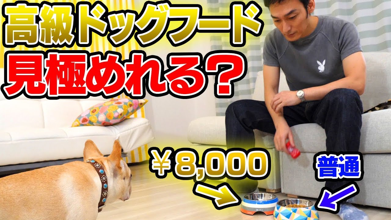 クルチューバーの美食度チェックをしたら驚きの結果に！
