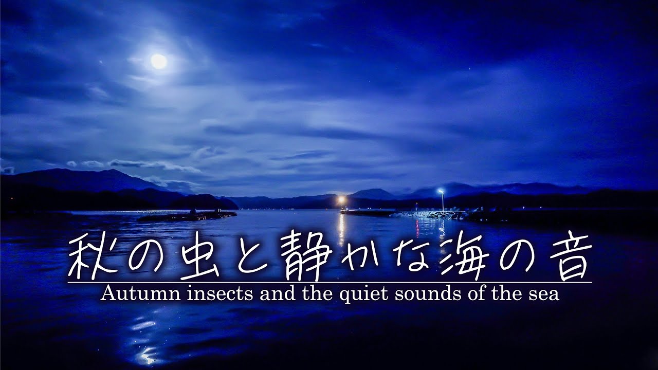 【安眠用BGM】秋の虫と静かな海の音