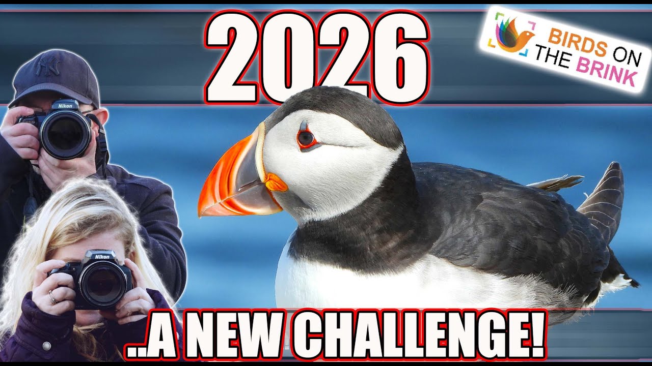 Наша самая большая задача на сегодняшний день | 2026 — важный год для благотворительности