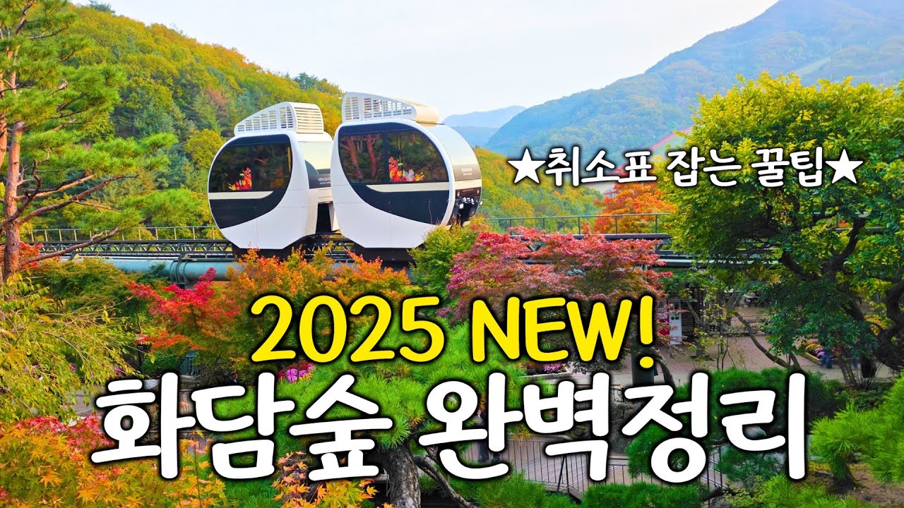 2025 NEW! 단풍명소 방문객1위 화담숲🍁 - 다음주 단풍절정•입장꿀팁•주차•추천동선•모노레일•취소표 잡는법•장단점까지 