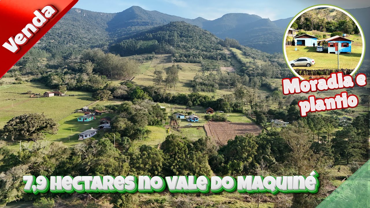 7,9 hectares no vale do Maquiné, venho conhecer com a gente essa chácara