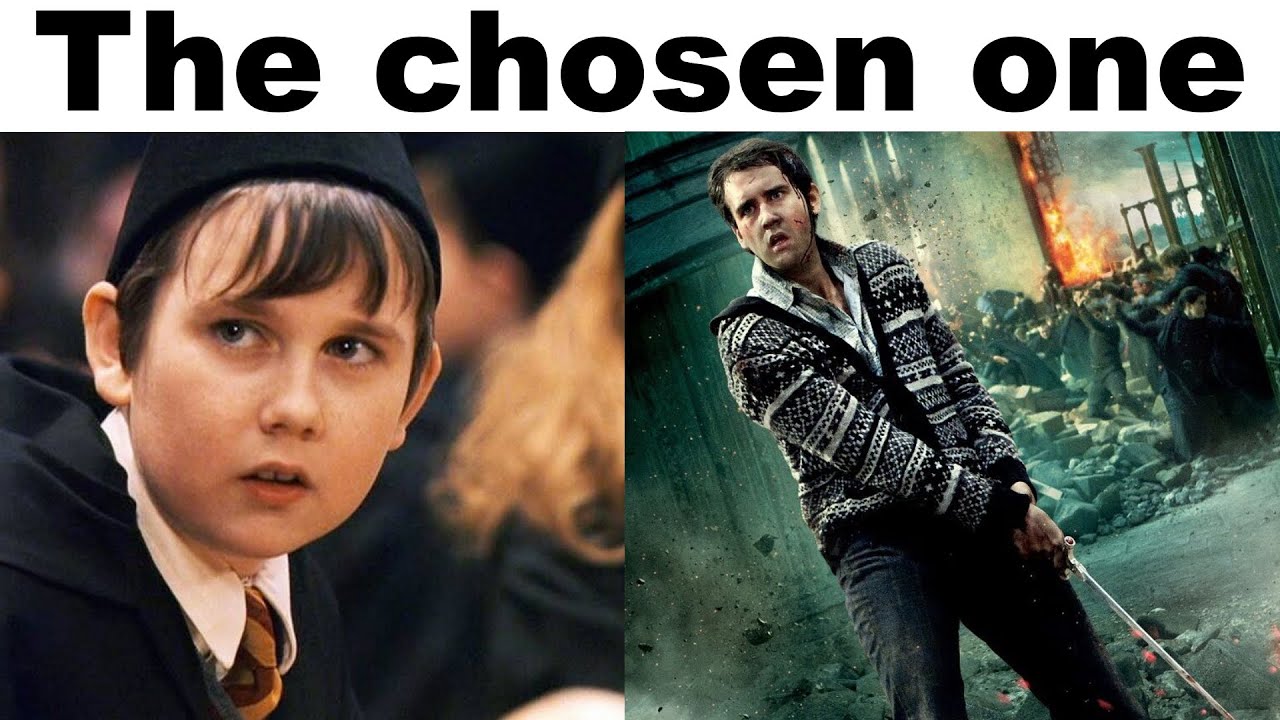 HARRY POTTER MEMES #3