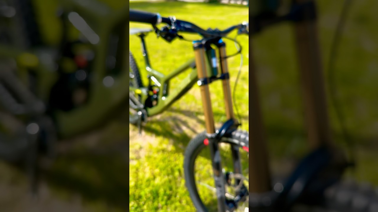 Custom graphics Santa Cruz v10.8 from The Mill Cyclery