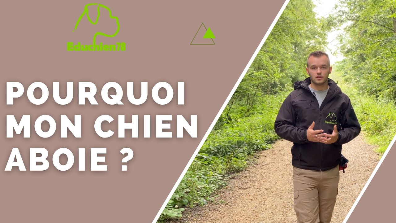 Pourquoi mon chien aboie ?  - Réponse commentaire EDUCHIEN78