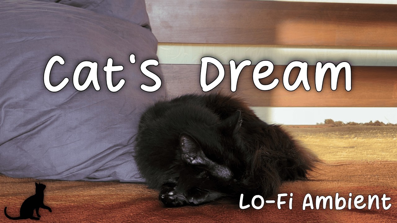 Ambient Lo-Fi Calm Music | Cat's Peaceful Sleep | Dishwasher pad, birds singing, children's voices