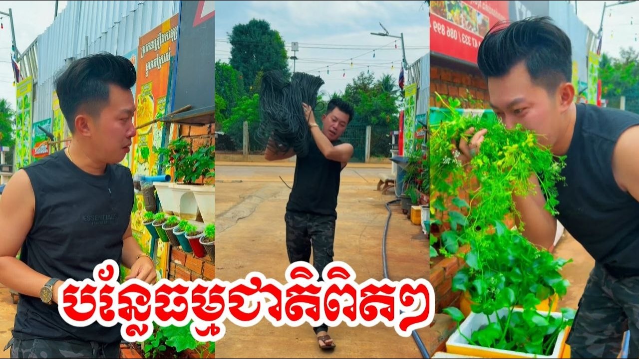 បន្លែធម្មជាតិល្អៗណាស់នៅផ្ទះខ្ញុំបាទ