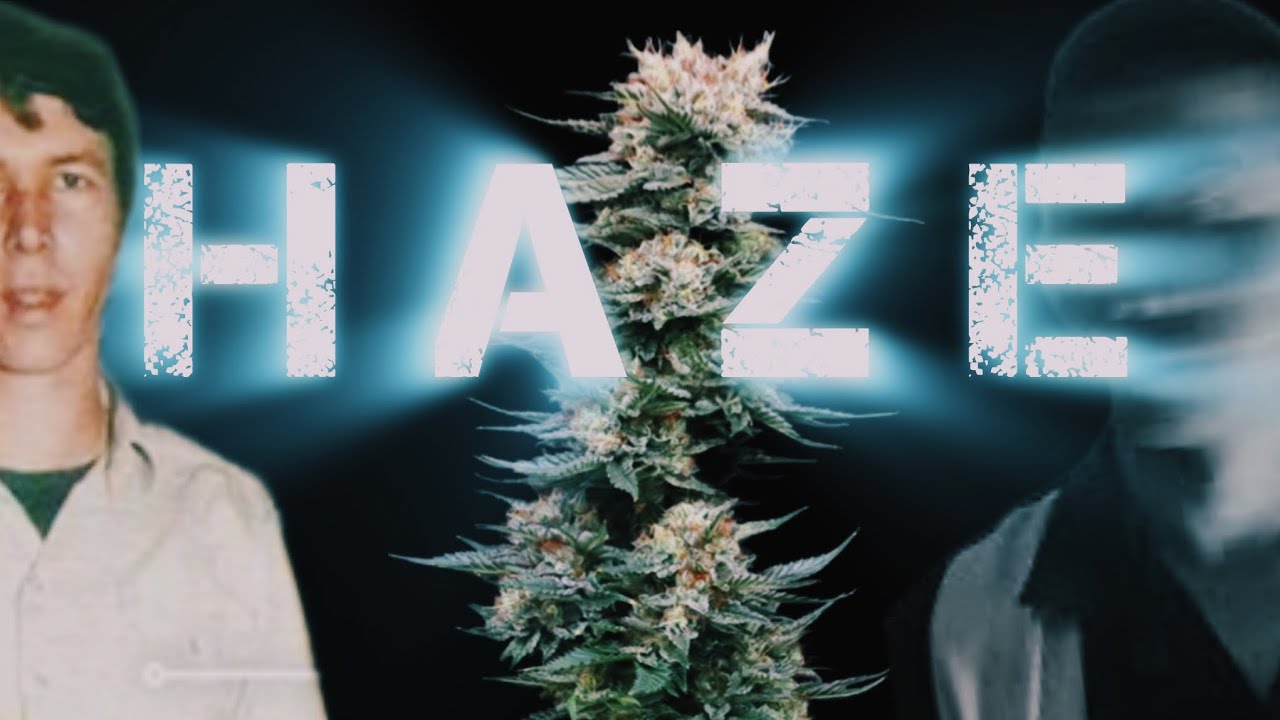 The Haze Cannabis Strain: Nevil & The Skunkman (Retro Tech)