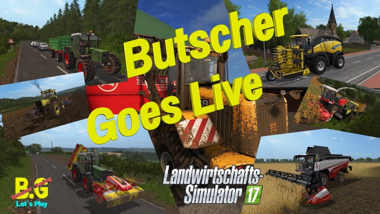 LS  Holland Landscape - Bei Antje 2