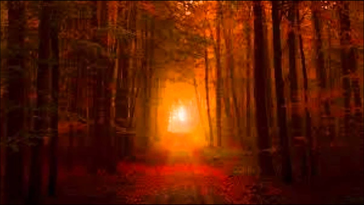 James McMurtry - Saint Mary Of The Woods