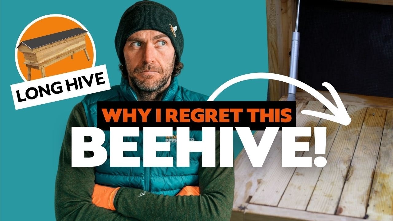 Long Hive Review - Why This Beehive Design Is Not For Beginners