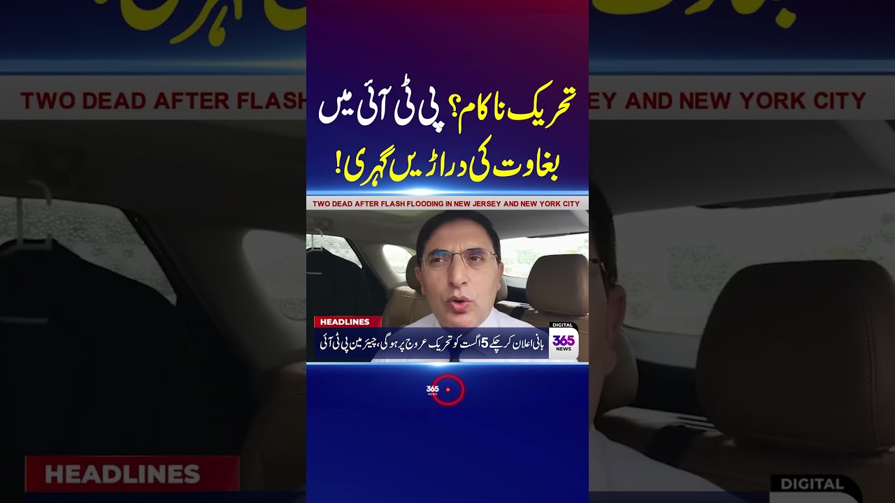 Movement Failing? | Internal Rift Deepens Within PTI | 365 Plus