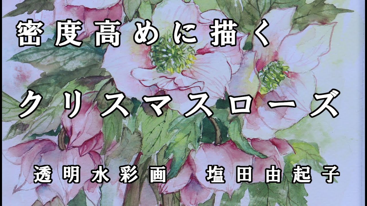 【透明水彩画】密度高めに描くクリスマスローズ