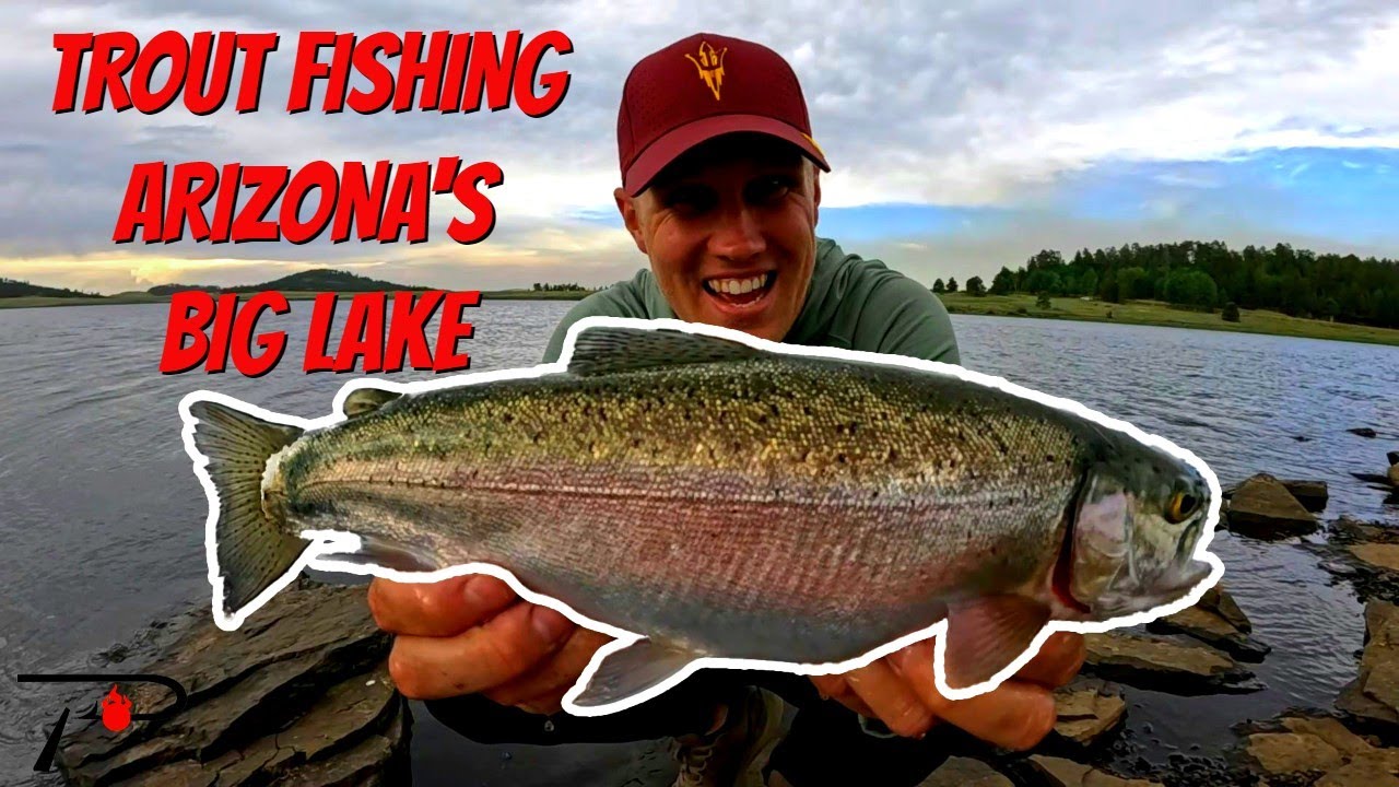 Trout Fishing Arizona's Big Lake