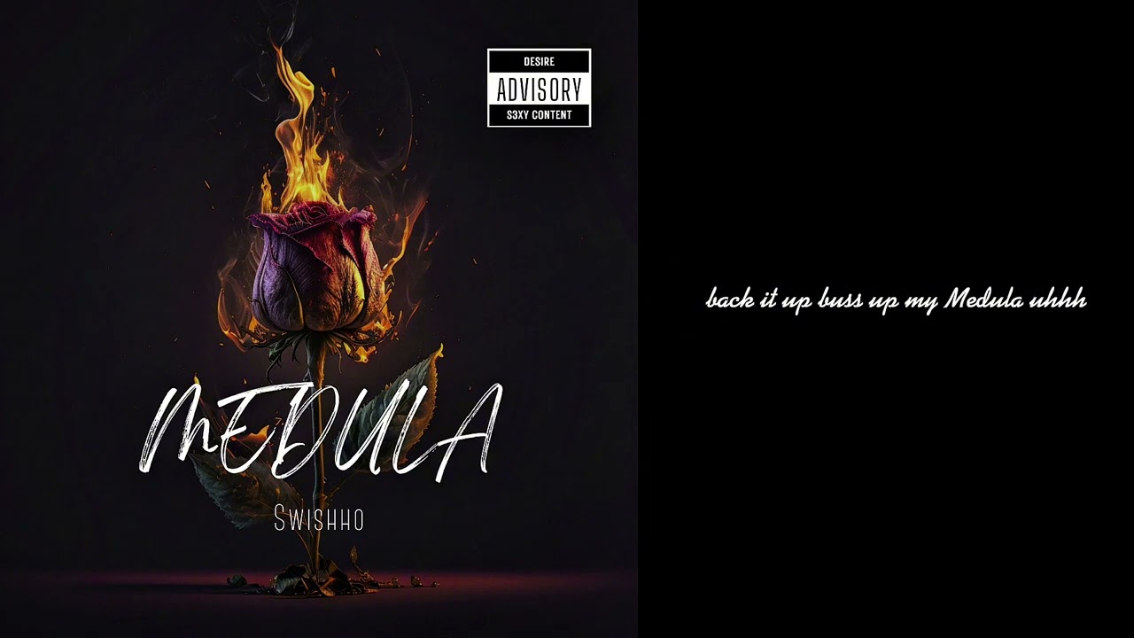 Swishow - Medula (official audio) (prod by LiveWyah Records)