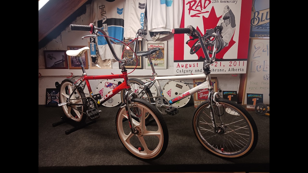 Bike Check: 1986 REDLINE RL 20