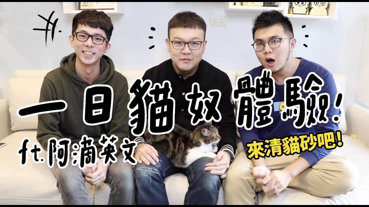 【黃阿瑪的後宮生活】一日貓奴體驗！ft.阿滴英文