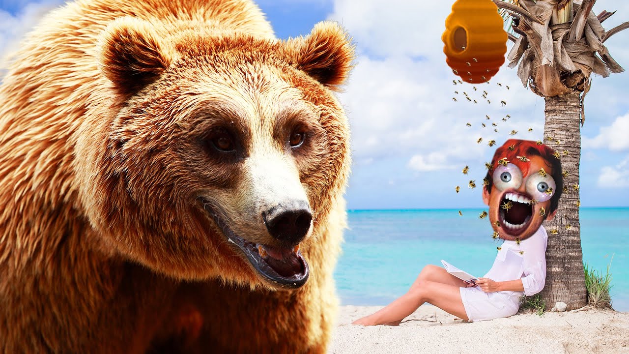 bears... | RAFT