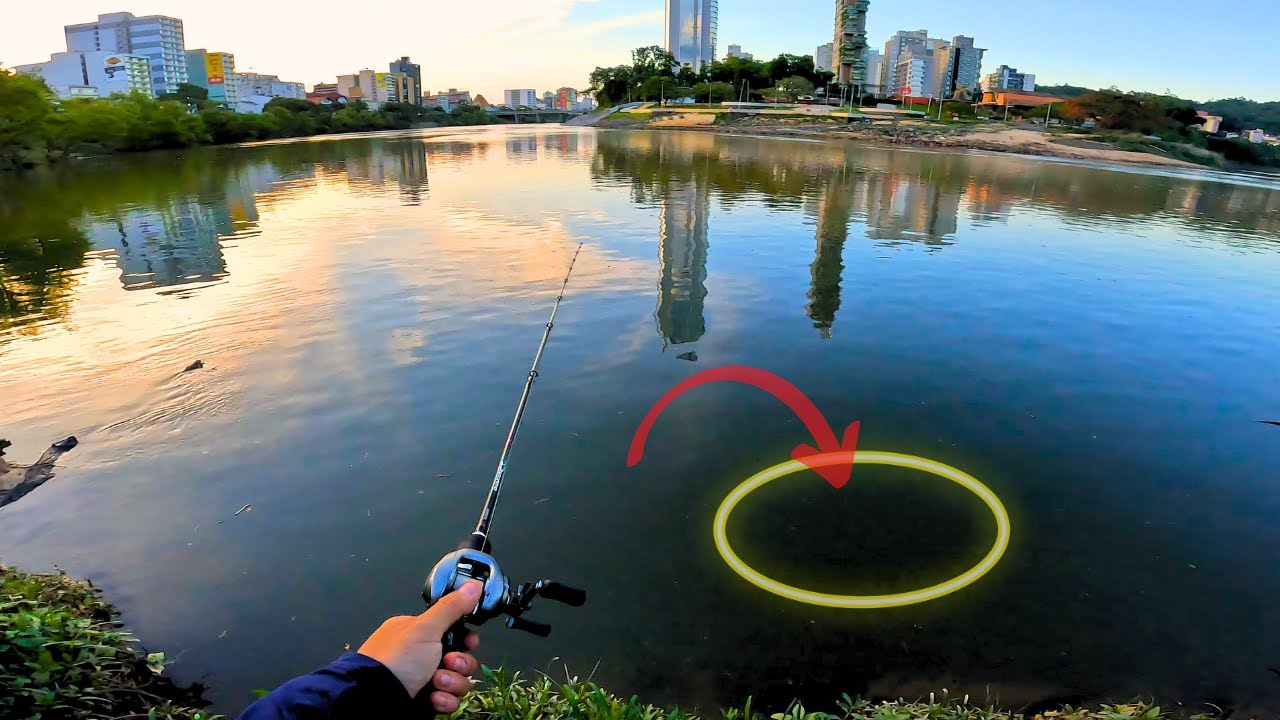 Pescaria de Robalo no centro de Blumenau! Tem peixe no rio Itajaí Açu?