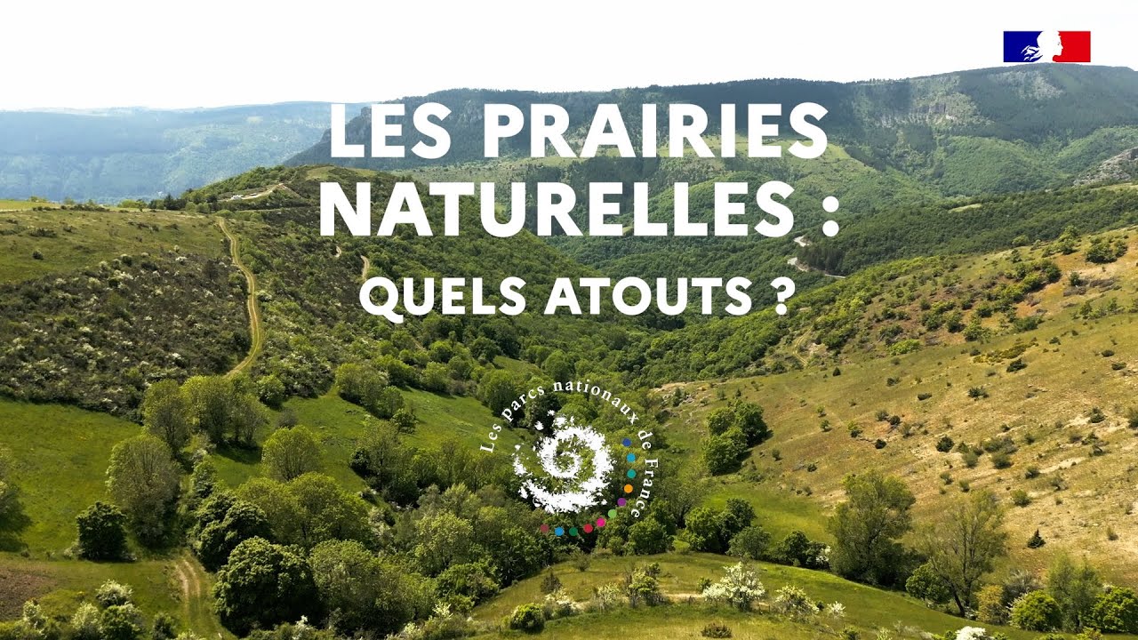 Paroles d'acteurs dans les parcs nationaux : les atouts des prairies naturelles