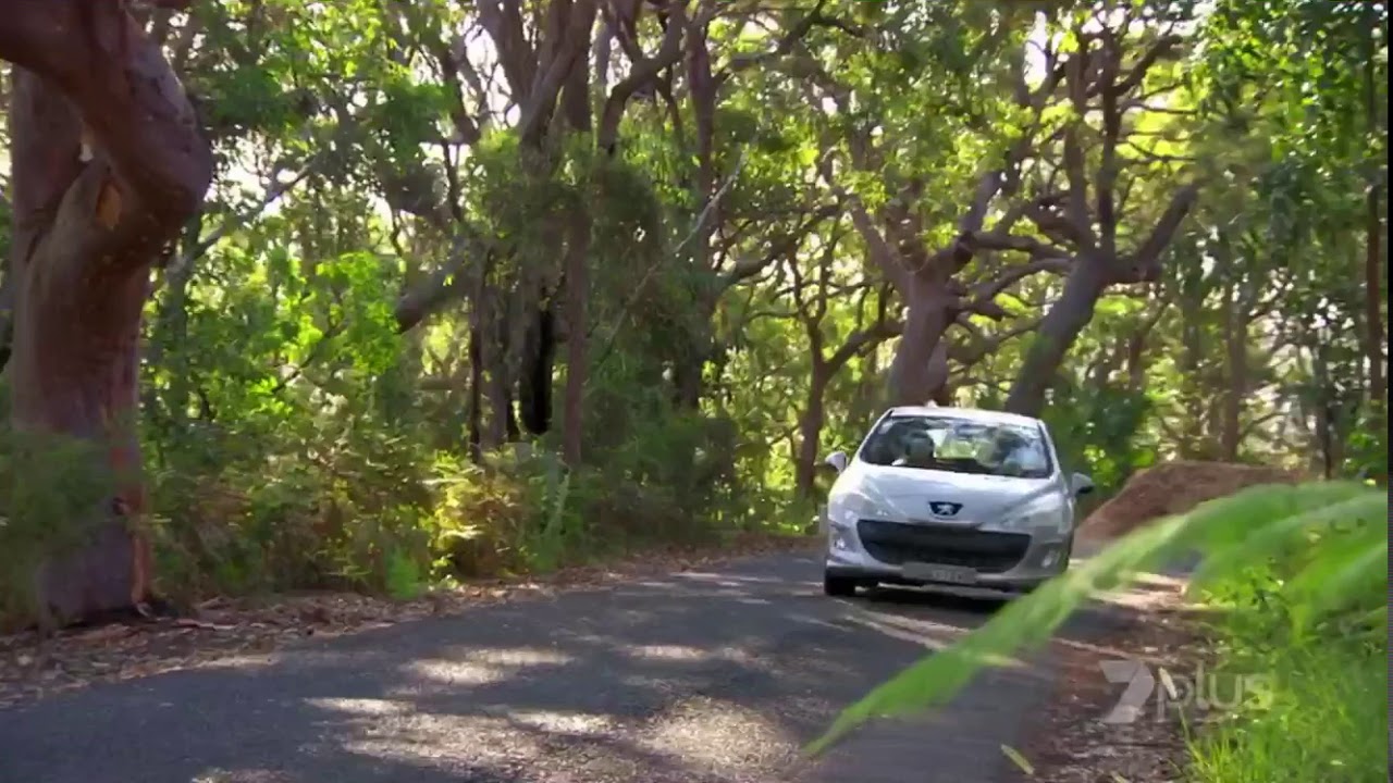 Home And Away Ash leaves the bay